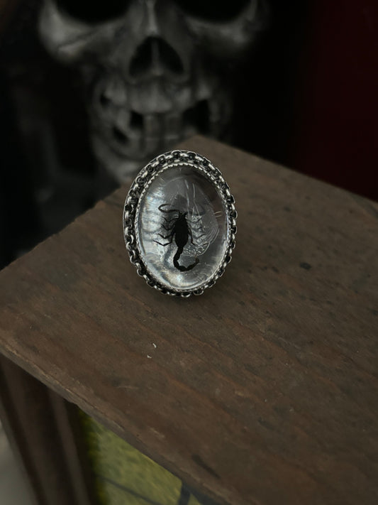 Large Scorpion in Resin Ring - Silver